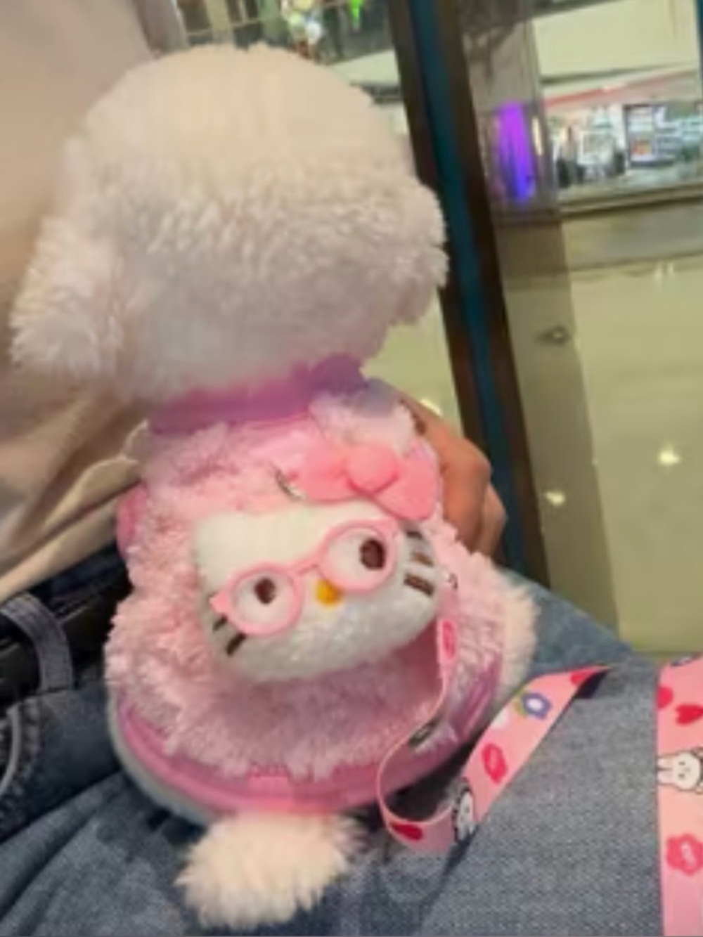 Hello Kitty Pink Plush and Blue Plush outfit for your dog